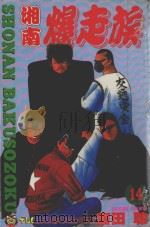 湘南爆走族 14 1995 PDF电子版封面 957341709X 吉田聡著;何宜叡译