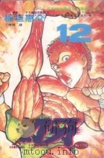 刃牙 12 1994 PDF电子版封面 9576758394 板垣惠介著;丁琳瑛译