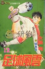 足球风云 12 1993 PDF电子版封面 9573404206 大岛司著;张惠莹译