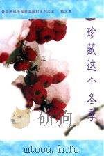 珍藏这个冬季（ PDF版）