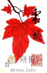 霜枫  第22期（1999 PDF版）