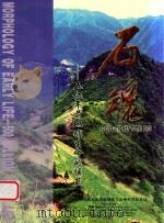 石魂  五亿年前地球生命的摇篮（ PDF版）