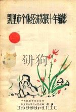 凯里市个体经济发展十年缩影（ PDF版）