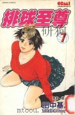 排球至尊  7（1991 PDF版）