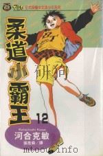 柔道小霸王 12 1994 PDF电子版封面 9573409666 河合克敏著;张詹舜译