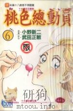 桃色总动员  VOL.6  真实的梦想（1997 PDF版）