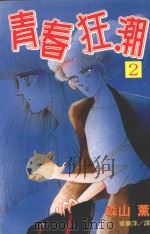 青春狂潮  第2卷（1999 PDF版）