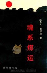 魂系煤运（1993 PDF版）
