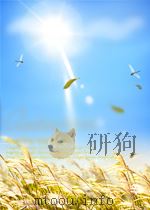 计算器应用基础项目教程（ PDF版）