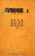 菌类图鉴  上（1978 PDF版）
