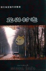 宜城市郑集镇皇城村志  1919-2015（ PDF版）