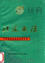 江海激浪 第4辑 1987 PDF电子版封面 新四军和华中抗日根据地研究会,江苏印刷分会编