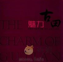 魅力古田 PDF电子版封面 郑安思主编