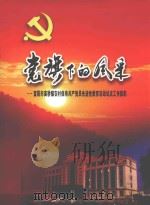 党旗下的风采  富阳市高桥镇农村保持共产党员先进性教育活动试点工作掠影（ PDF版）
