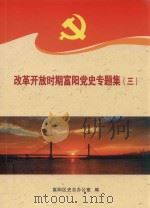 改革开放时期富阳党史专题集  3（ PDF版）