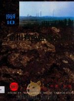 金川有色金属公司（1989 PDF版）