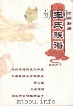 沧州新编王氏家族  第2册（ PDF版）