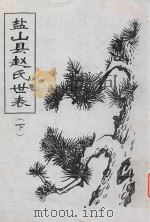 盐山县赵氏世表  下（ PDF版）