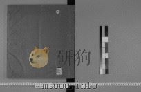 仪礼图  1（1870 PDF版）