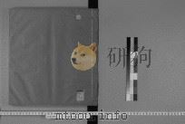 仪礼图  4（ PDF版）