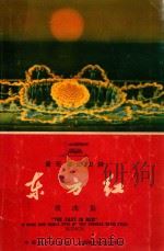 音乐舞蹈史诗 东方红歌曲集 1965 PDF电子版封面