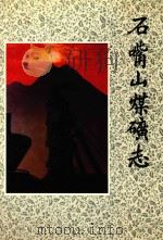 石嘴山煤矿志（1994 PDF版）