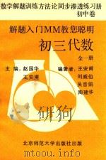 数学解题训练方法论同步渗透练习册  初中卷  初三代数  全1册（1993 PDF版）