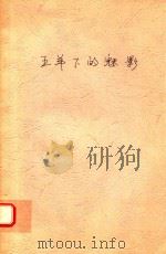 五羊像下的魅影（1991 PDF版）