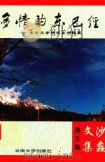 多情的东巴经  东巴文学研究系列随笔（1998 PDF版）