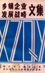 乡镇企业发展战略文集（ PDF版）