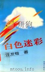 白色迷彩 1996 PDF电子版封面 7800548066 汪发楷著