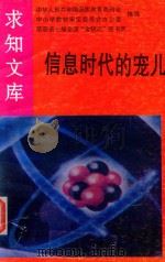 信息时代的宠儿（1992 PDF版）