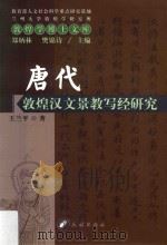 唐代敦煌汉文景教写经研究（ PDF版）