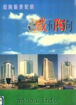迈向新世纪的咸阳（ PDF版）