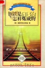 钢铁是怎样炼成的（1999 PDF版）