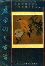 唐宋词三百首  钢笔书法字帖  全国硬笔书法大赛一等奖得主十人集（1992 PDF版）