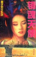 销魂天使（1995 PDF版）