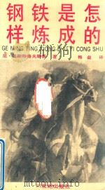 钢铁是怎样炼成的  少年版（1990 PDF版）
