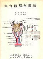 集合观解剖图稿（1994 PDF版）