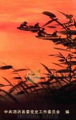 泗洪人民革命斗争史（1995 PDF版）