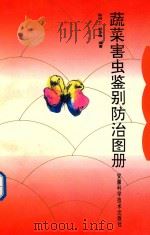 蔬菜害虫鉴别防治图册（1994 PDF版）