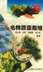 名特蔬菜栽培（1995 PDF版）