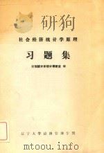 社会经济统计学原理  习题集（ PDF版）