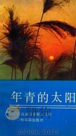年青的太阳（1992 PDF版）