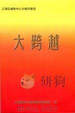 大跨越：江津区域性中心城市建设（ PDF版）