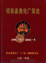 师宗县焦化厂简史 1990·9-2000·9 PDF电子版封面 师宗县焦化厂《厂史》编辑委员编