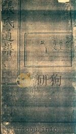 张氏通谱  第8卷（ PDF版）