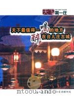 天下第一庄  台儿庄古城  2013  今宵酒醒何处（ PDF版）