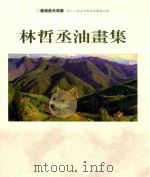 第十二届台中县美术家接力展 林哲丞油画集 1999 PDF电子版封面 9570252103 林哲丞作