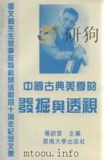 中国古典美学的发掘与透视 张文勋先生从事教育科研活动四十周年纪念文集 1993 PDF电子版封面 7810252666 杨启云主编